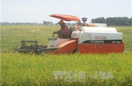 Trung Quốc muốn ký kết hợp tác tiêu thụ nông sản tại tỉnh Long An